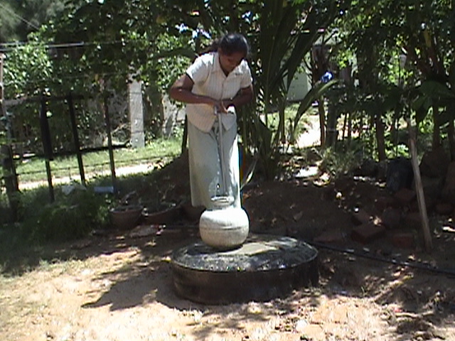 One of the first wells installed by Buddhistisches Haus in Kudawella, Sri Lanka