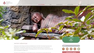 Image of buddhismus-deutschland.de
